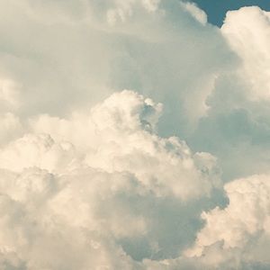 Meet your Posher, Sammy